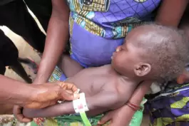 Hunger im Kongo