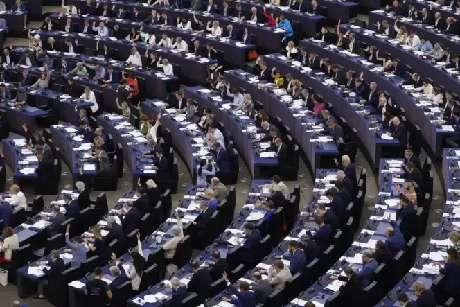 Mehr als 700 Abgeordnete aus 27 Ländern – das Europaparlament ist eine weltweit einzigartige Volksvertretung.