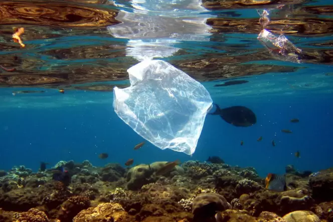 Gefahr für die Meere: Plastikabfall.
